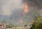 https://www.cyprustodayonline.com/hit-by-seventy-fires