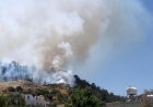 https://www.cyprustodayonline.com/north-cyprus-on-high-alert
