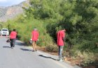 https://www.cyprustodayonline.com/trees-pruned-after-road-safety-complaints