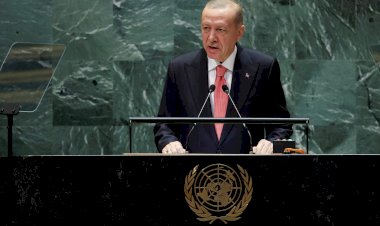 https://www.cyprustodayonline.com/erdogan-renews-recognition-call-for-trnc-at-un