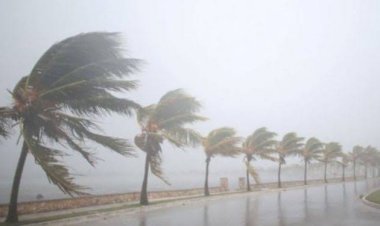https://www.cyprustodayonline.com/strong-winds-forecast-for-weekend-as-showers-expected-on-saturday