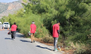 https://www.cyprustodayonline.com/trees-pruned-after-road-safety-complaints