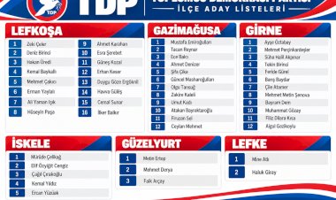 https://www.cyprustodayonline.com/tdp-names-50-candidates-for-december-election