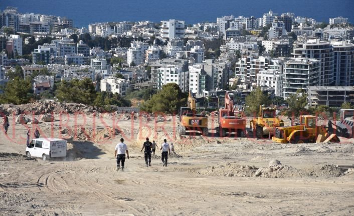 Government halts construction at site of ‘tree massacre’