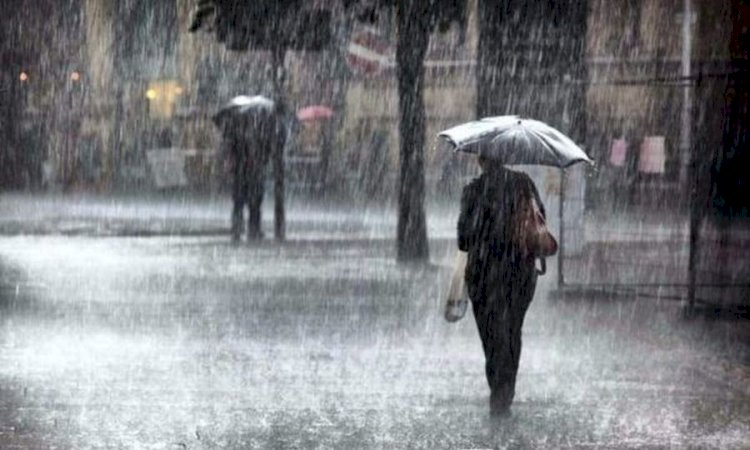 Showers and thunderstorms forecast through Monday