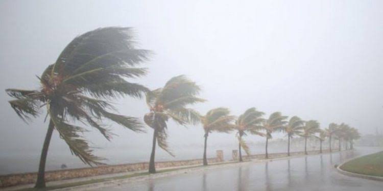 Strong winds forecast for weekend as showers expected on Saturday