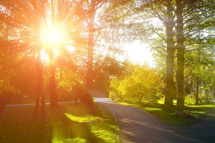 Temperatures to reach 31°C inland